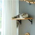 thumbnail image 3 of Cat Wall Shelves, 16 x 10 Inch Cat Wall Furniture with Sisal Mat, Solid Rubber Wood Floating Wall Shelf with Upgraded Installation, Cat Window Perch for S ping, Playing and Scratching, 3 of 6