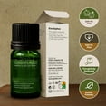 thumbnail image 5 of Gya Labs Organic Eucalyptus Essential Oil for Diffuser - Eucalyptus Essential Oil Organic for Skin, Humidifier & Hair (0.34 fl oz), 5 of 8