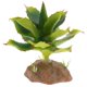 thumbnail image 4 of TERRARIO MULTI PEQUEÑA PNTA RACIÓN DE ES VIVARIUM Yuyangstore Terrería de reptiles, 4 of 8