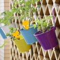 thumbnail image 4 of Trampas adhesivas LIUYMXG para moscas de La fruta 96 piezas para plantas Cocina interior y exterior, 4 of 5