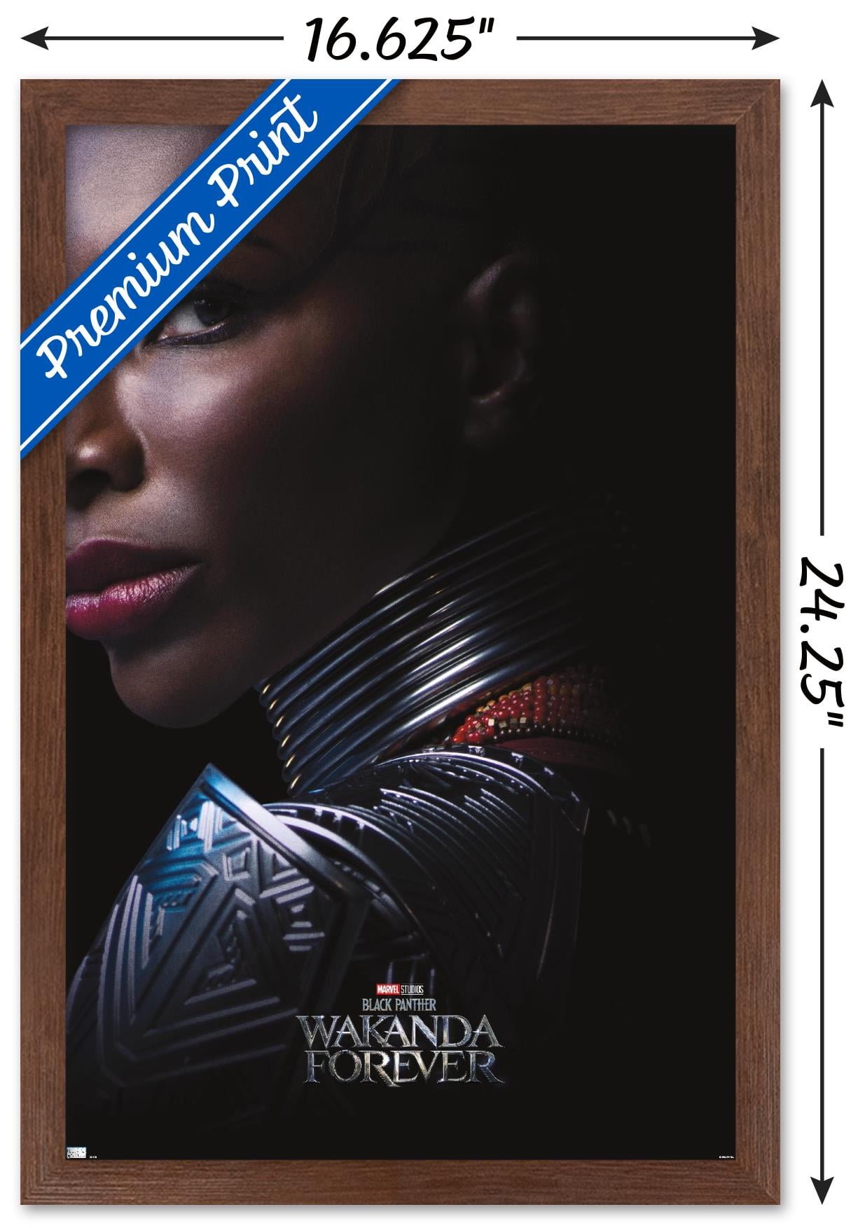 Marvel Black Panther: Wakanda Forever - Aneka One Sheet Wall Poster, 14.725" x 22.375" Framed