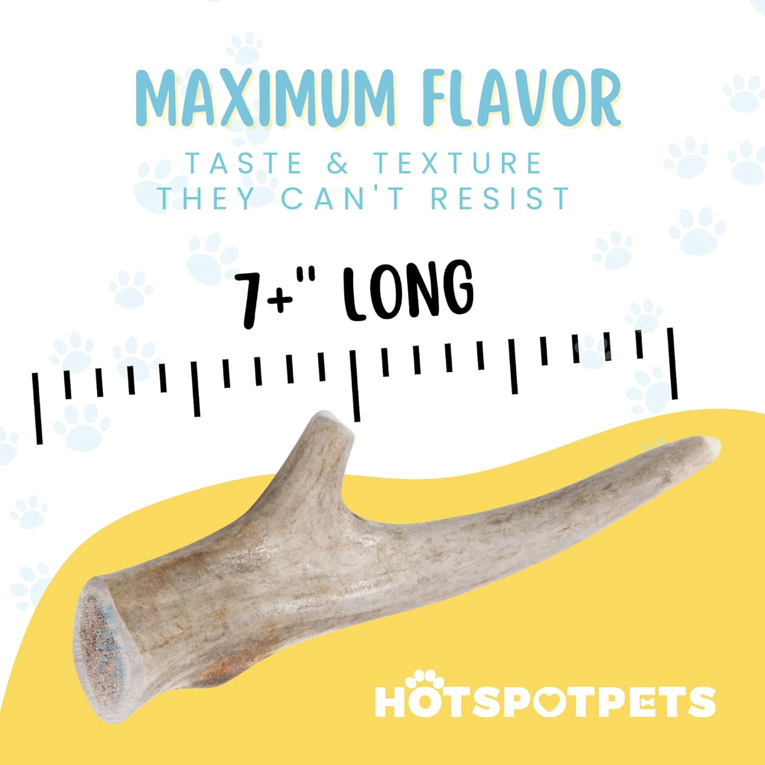 HotSpot Pets Premium Elk Horn Antlers Dog Chews, Odorless Rawhide Marrow, 7+ Inch Large, 2 Pack