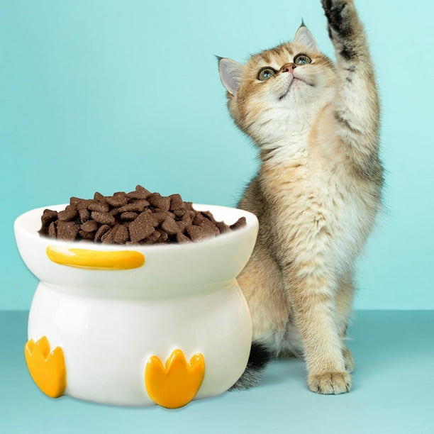 Dog food holder hot sale walmart
