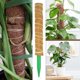 thumbnail image 3 of 40cm Juego de postes de musgo reutilizables para plantas trepadoras, kit de palos de musgo para plantas en macetas, 3 of 5