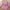 Purple, variant on Spazoro Toddler Girls Dress, Long Sleeve Fashion Printed Fall Winter Dresses for Childs Girls Sky Blue Size 3-4T