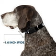 thumbnail image 6 of Buckle-Down Pet Collar, Dog Collar Plastic Buckle, Dont Judge Me Black White, 11 to 16.5 Inches 1.0 Inch Wide, 6 of 8