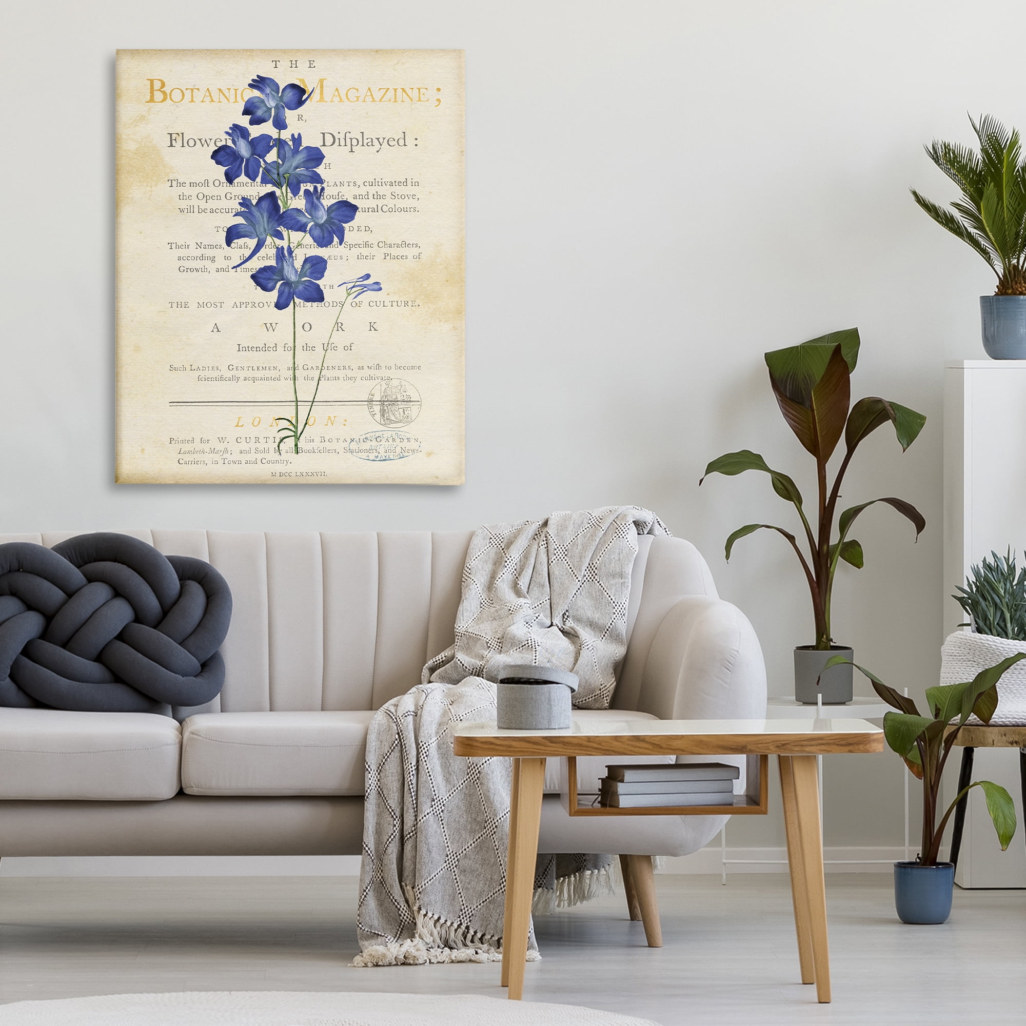 Stupell Industries Natural Botanic Garden Flower Canvas Wall Art, design by Susan Arnot