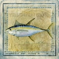 thumbnail image 3 of Beth Anne Creative 12x12 Black Modern Framed Museum Art Print Titled - Ocean Fish XII, 3 of 5