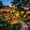 B, variant on Solar-Powered Parrot Garden Light, 2026 New Parrot Head Paradise Tropical Yard Decor Lamp, Waterproof Solar Stake Light with Auto On/Off for Outdoor Yard Patio Pathway Garden Decor