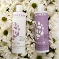 thumbnail image 4 of Purezero Biotin Strengthening Shampoo 12oz, 4 of 9