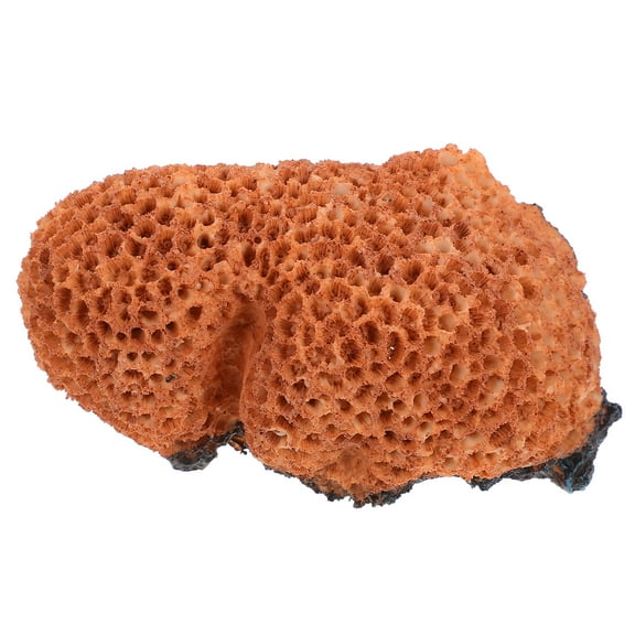 DEEPCRAFF Resin Fish Tank Decor Orange Coral Ornament Safe for Aquariums Easy Installation 3.5 Inch
