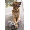 thumbnail image 5 of Juguete GoDog Dragons Gris con Protección para Masticar Tamaño Grande, 5 of 5
