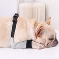 thumbnail image 4 of Labymos Dog Elbow Protector Front Leg Sleeve Adjustable Pet Operation Injury Recovery Protective Brace 1, 4 of 8