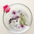 thumbnail image 3 of Keyohome Pressed Dried Flowers Set Real Natural Pressing Floral Leaves DIY Real Pressed Flowers for Indoor Outdoor Home,81Pcs,4 Pack, 3 of 11