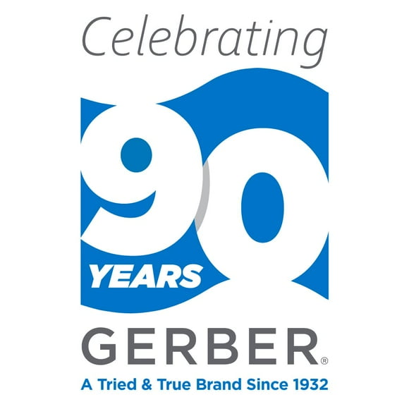 Gerber D454437SS 1H Kinzie Kitchen Faucet, Stainless Steel