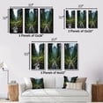 thumbnail image 4 of Designart "Olympic National Park River USA s Scenic Beauty" Landscapes Wall Art Set Of 3 - Green Usa Gallery Set For Office Decor, 4 of 7