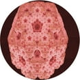 thumbnail image 1 of Ahgly Company Indoor Round Patterned Bean Red Area Rugs, 7' Round, 1 of 6