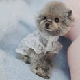 thumbnail image 3 of Ludlz Dog Dress with Matching Hat Lace Dress Skirt for Small Dog Pet Apparel, 3 of 7
