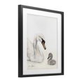 thumbnail image 2 of Stupell Industries Transitional Mother Swan & Cygnet Black Framed Print Under Glass, 17 x 21, by Sara Baker, 2 of 8