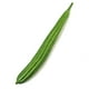 thumbnail image 1 of Artificial Cucumber Prop, Realistic Vegetable Texture, Decorative Prop for Photography, Home Decoration, High-Quality Plastic, Foldable Design, for Living Room, for Wedding Props, for Event, 1 of 8