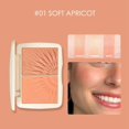 thumbnail image 1 of Face Blusher Matte Waterproof Long Lasting Blush Shading Powder Makeup(#1 ), 1 of 5