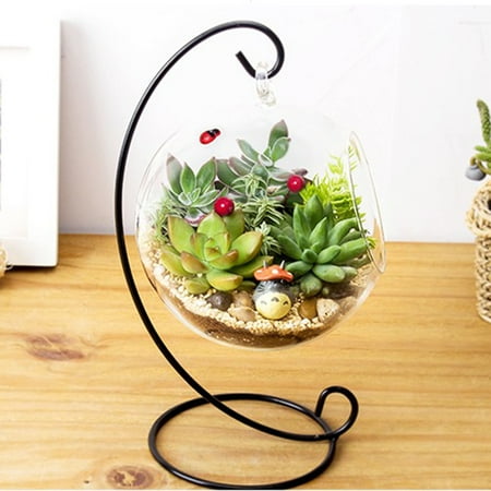 Transparent Hanging Glass Vase,Large Terrarium with Frame for Air Plants Succulent Planters, Planters Glass Vase,Hanging Glass (Best Plants For Indoor Terrarium)