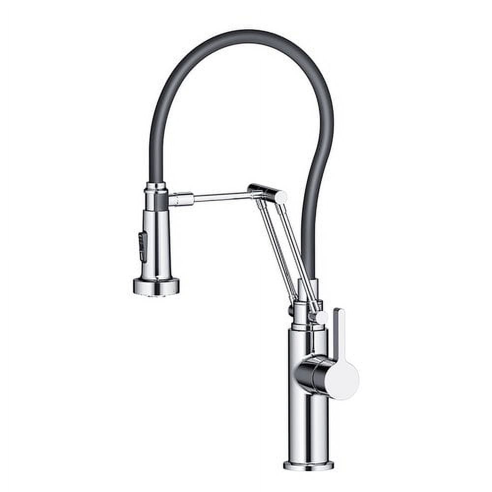 Blossom Pull Down Single Handle Kitchen Faucet