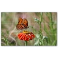 thumbnail image 1 of Picture-Tiles.com: Butterfly Ceramic Tile Wall Mural WAL500293-53S. 21.25"W x 12.75"H using (15) 4.25" x 4.25" Ceramic Tiles-Satin Finish, 1 of 3