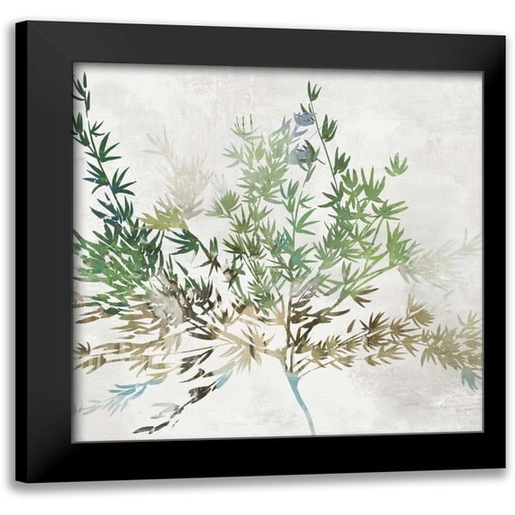 Jensen, Asia 12x12 Black Modern Framed Museum Art Print Titled - Olive Branch