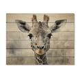 thumbnail image 3 of Designart "Giraffe beautyful Necks" Animals Print on Natural Pine Wood, 3 of 5
