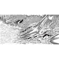 thumbnail image 3 of Magic Made Real: Coloring Through Enchanted Realms of Dragons, Unicorns, Fairies, and More (Paperback), 3 of 9