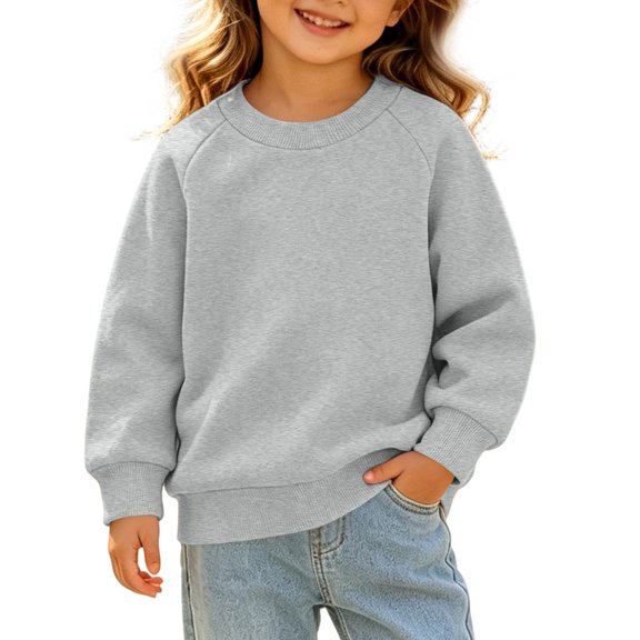 LUGOGNE Toddler Girls Sweatshirt Crewneck Long Sleeve Pullover Sweatshirts Kids Fall Winter Casual Activewear Gray,4 Years