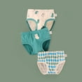 thumbnail image 2 of Xfvqtps 3PCS Toddler Little Boys Underwear Briefs Cotton Soft Bear Print Grid Pack for Boys Age 2-9 Years Green, 2 of 3