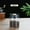 black Size 10.5X14cm V1, variant on Glass Coffee Canister, Xinsrenus Vacuum-Sealed High Borosilicate Storage Jar, 500-1800ml Food-Grade Airtight Container Kitchen Freshness Preserver, Black