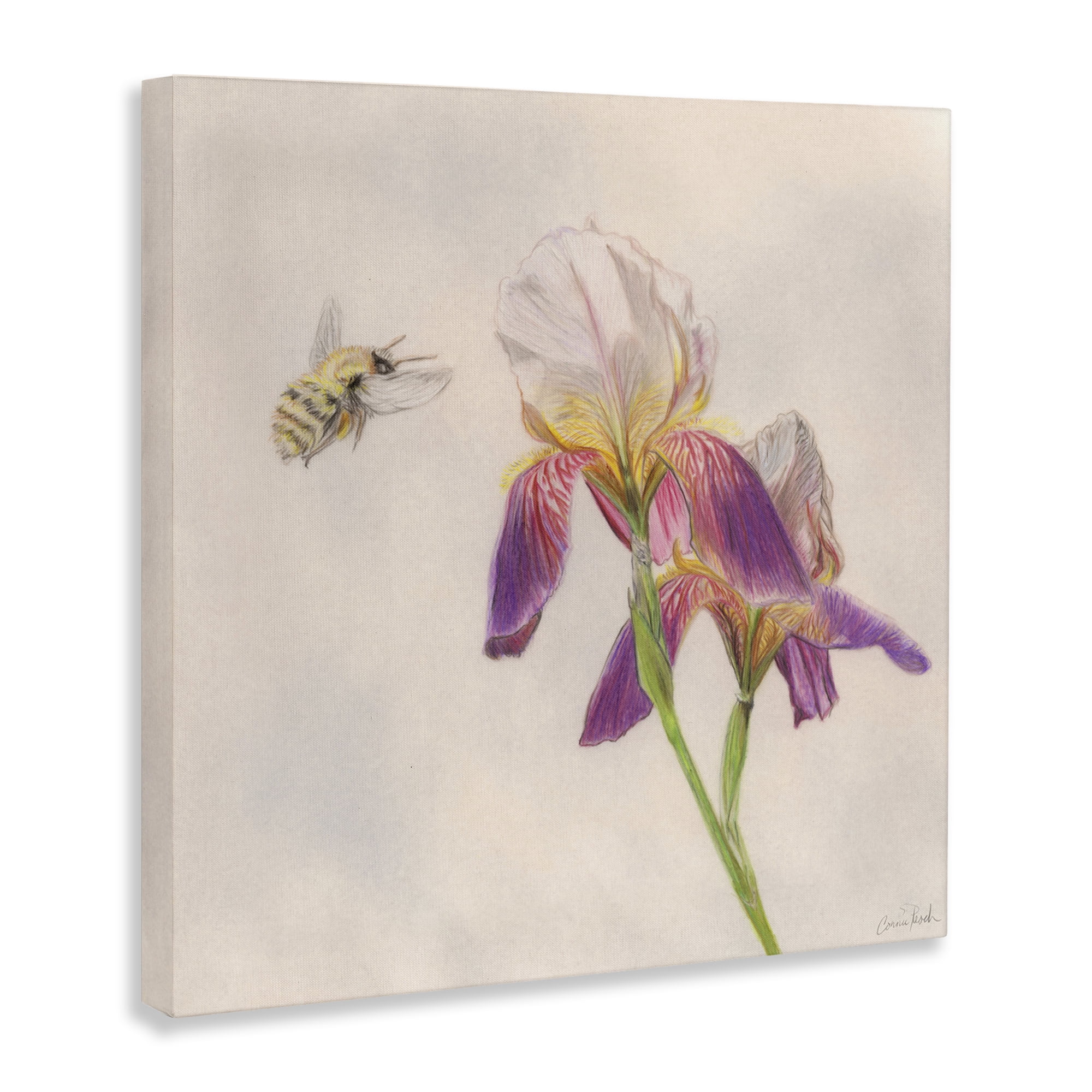 Stupell Industries Spring Offerings Bee Animals & Insects Painting Gallery Wrapped Canvas Art Print Wall Art, 24 x 24