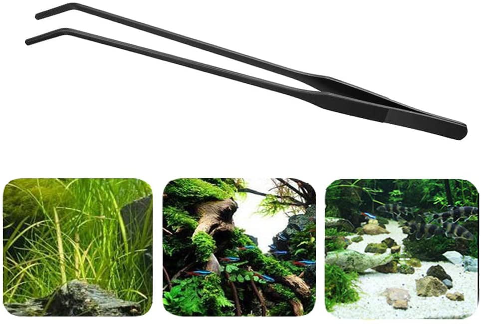 Aquarium Tweezers Stainless Steel Curved Tweezer with Carbonation Protection Coating Against Rust Long Reptiles Feeding Tongs for Aquatic Plants Spider Snakes Lizards Black Curved 12 inch 