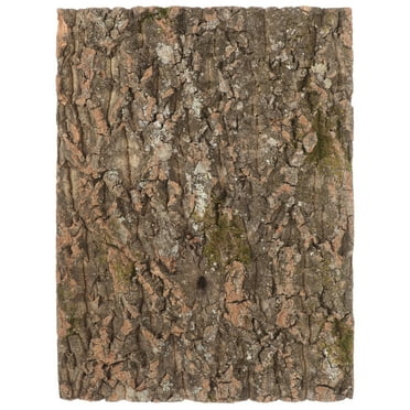 Reptile Tank Background Terrarium Bark Set