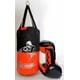 thumbnail image 3 of Costal Boxeo Infantil Niño + 2 Pares Guantes De 2 A 12 Años, 3 of 6