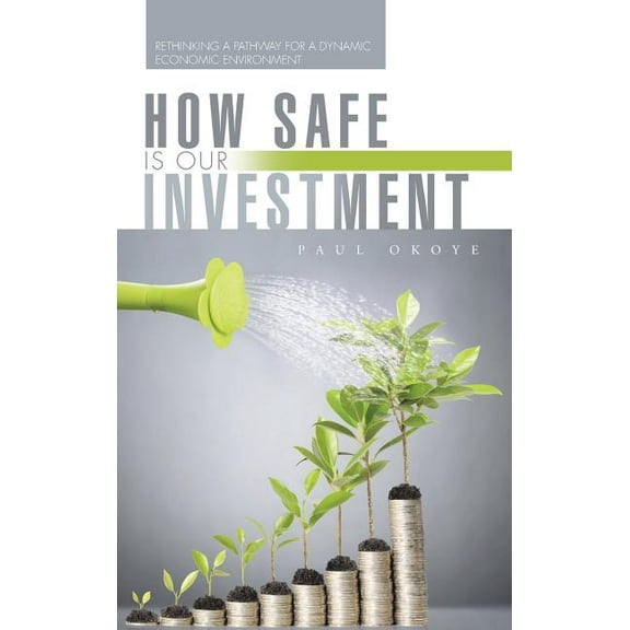 How Safe Is Our Investment : Rethinking a Pathway for a Dynamic Economic Environment (Hardcover)