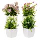 thumbnail image 1 of HAMPPLIES 4Ud Plantas Artificiales En Maceta Decorativas Con Bonsái Para Comedor Y Escritorio, 1 of 7