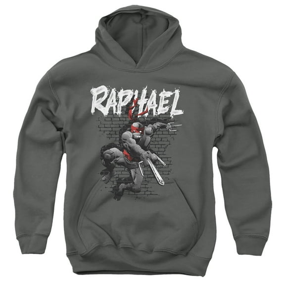 TMNT Teenage Mutant Ninja Turtles TMNT Raphael Unisex Youth Pull-Over Hoodie