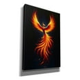 thumbnail image 2 of Epic Graffiti 'The Phoenix'  by Andreas Magnusson Canvas Wall Art, 18" x 26", 2 of 7