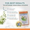 thumbnail image 3 of Auromere Ayurvedic Neem Picks - 100 Toothpicks - Case Of 12, 3 of 11