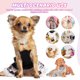 thumbnail image 5 of ColoMX Collar de perlas para perro, joyería artesanal para perros pequeños y cachorros, un bonito accesorio ideal para bodas y eventos especiales., 5 of 8
