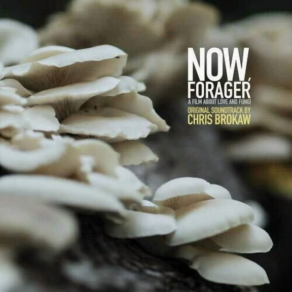 Chris Brokaw - Now Forager Soundtrack - Music & Performance - Vinyl