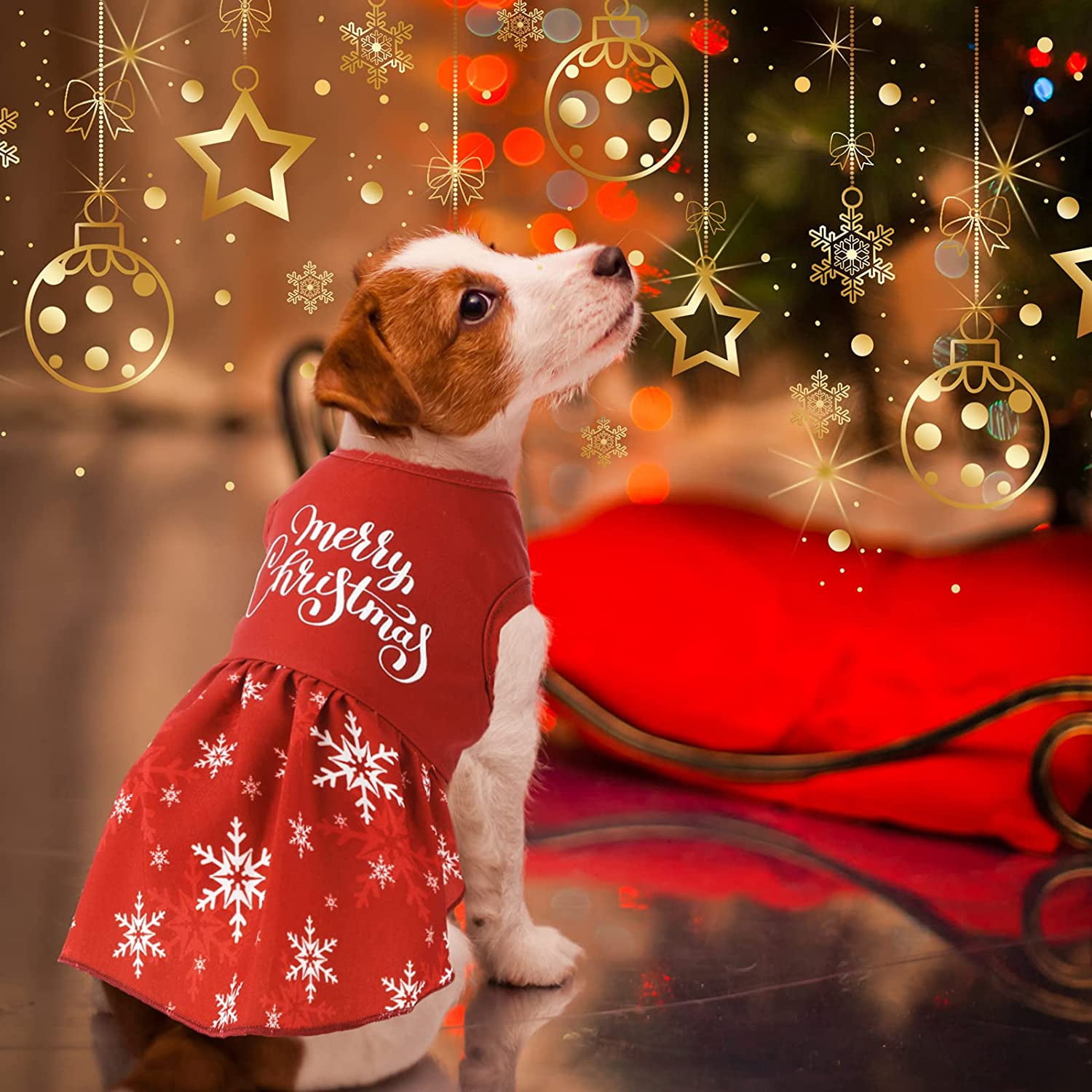 thanksgiving dog clothes