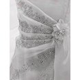 thumbnail image 2 of BNY Corner A-Line Organza Long Dress Silver 10 HC1251, 2 of 5