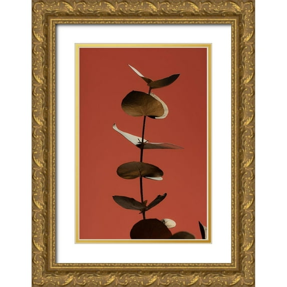 Artographie Studio 11x14 Gold Ornate Wood Framed with Double Matting Museum Art Print Titled - Eucalyptus Gold Rust 04
