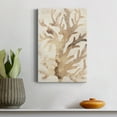 thumbnail image 4 of Parchment Coral III Premium Gallery Wrapped Canvas - Ready to Hang, 4 of 7