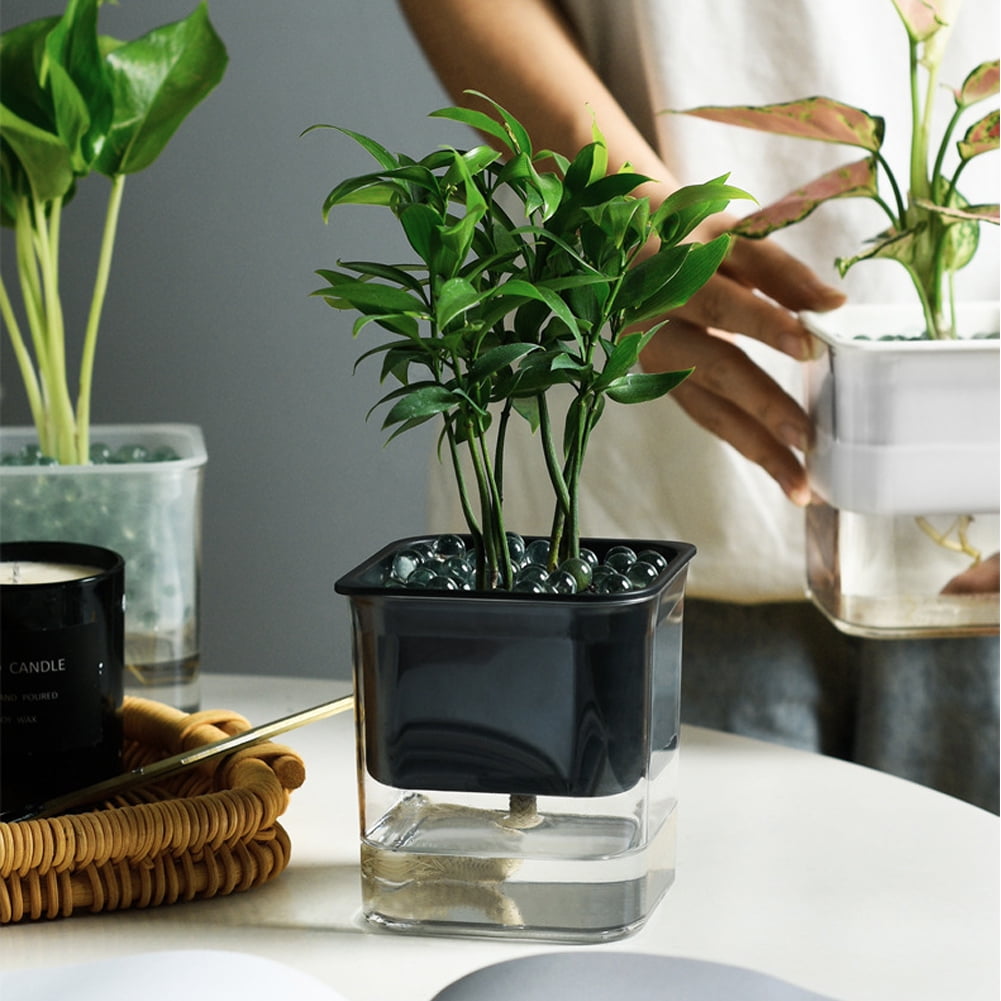 Automatic Water-absorbing Plant Pot Self Watering Garden for Indoor Plants 